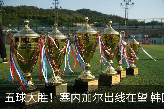 五球大胜！塞内加尔出线在望 韩国晋级仅剩理论希望